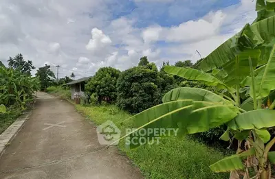 Charming rural property with lush greenery and a serene pathway, perfect for nature lovers.