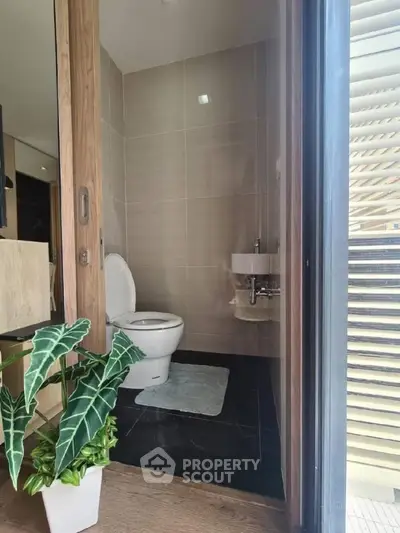 Modern bathroom with sleek design and indoor plant accent