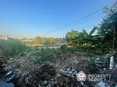 Vacant land with lush greenery and clear blue sky, ideal for development opportunities.