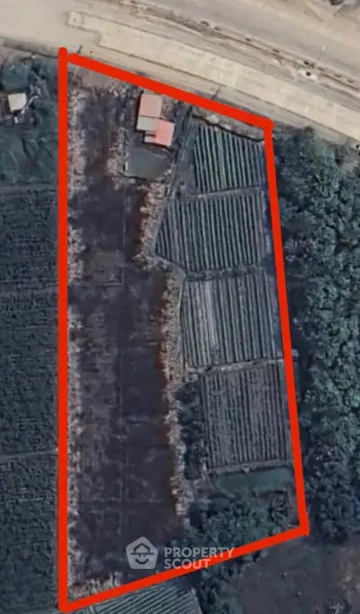 Screenshot 2568-06-17 at 11.53.14.jpg