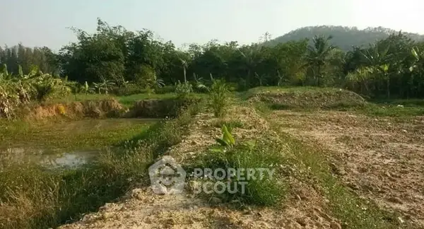 image_rental-14754709