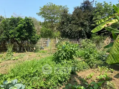 Lush garden area with diverse plants and trees, perfect for sustainable living.