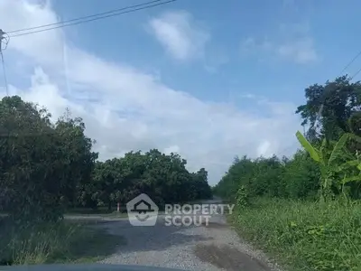 Scenic rural road surrounded by lush greenery and trees under a clear blue sky.