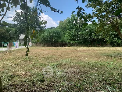 Spacious vacant land surrounded by lush greenery, perfect for development or investment opportunities.