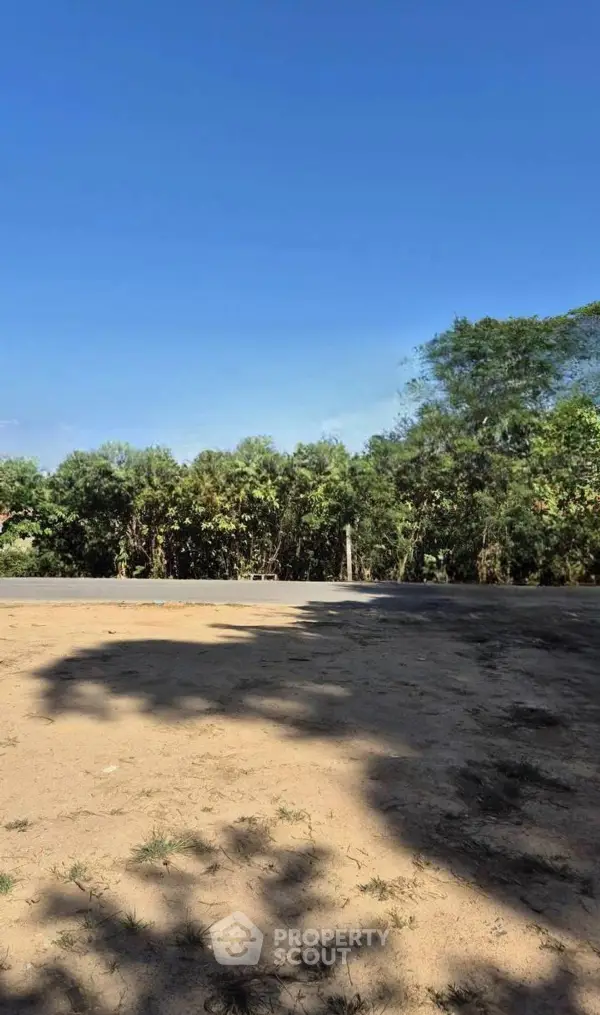 image_rental-30580259