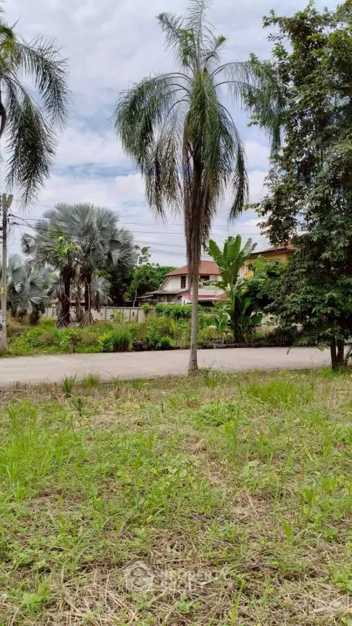 Charming suburban property with lush greenery and palm trees, perfect for tranquil living.