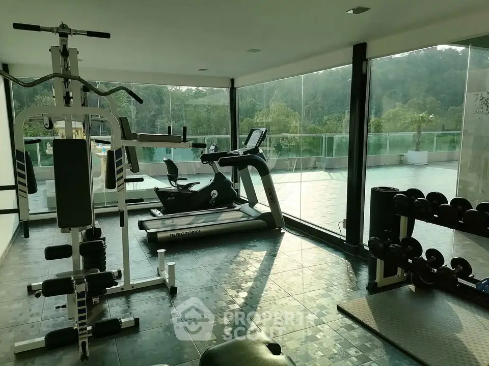 Spacious gym with modern equipment and scenic outdoor view, ideal for fitness enthusiasts.