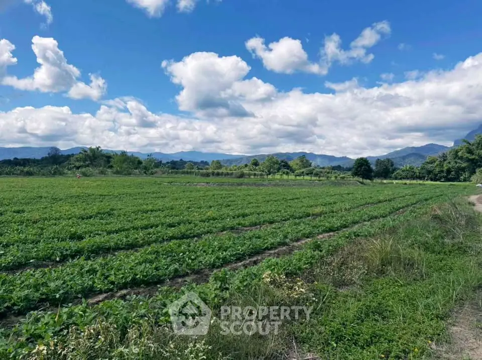 Expansive agricultural land with lush greenery and scenic mountain views under a vibrant blue sky.