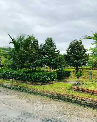 Lush garden landscape with tropical trees and manicured hedges under a cloudy sky.