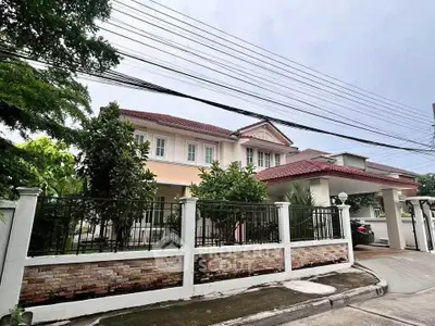 image_rental-31537416