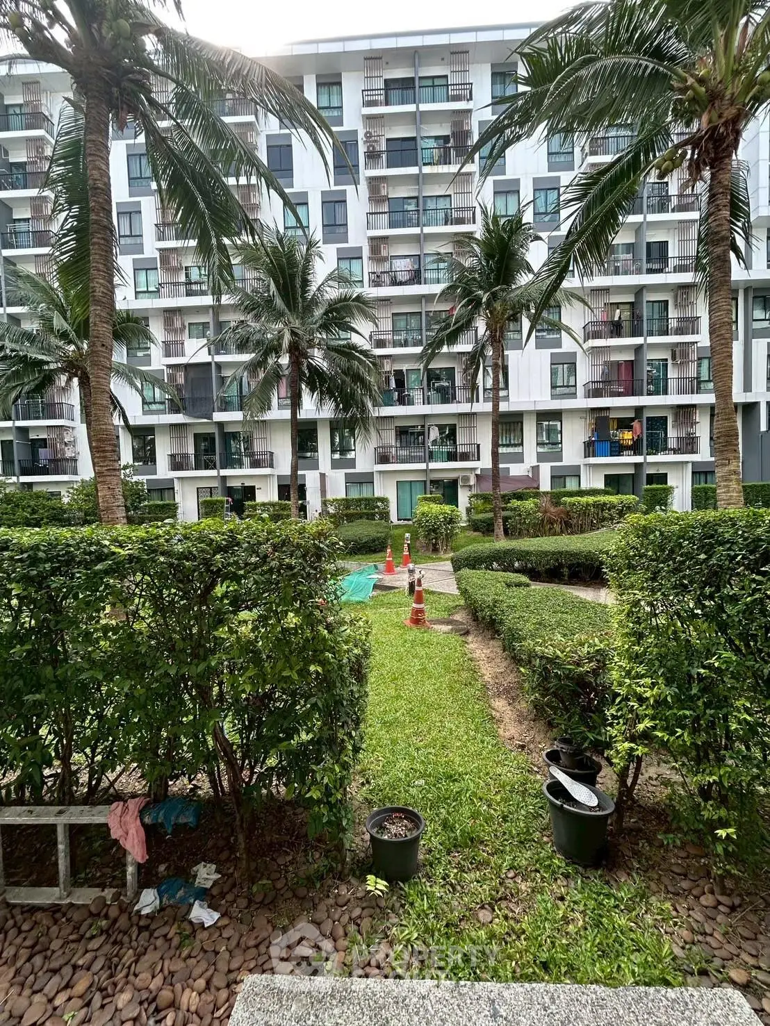 Modern apartment building with lush garden and palm trees, offering serene outdoor living space.