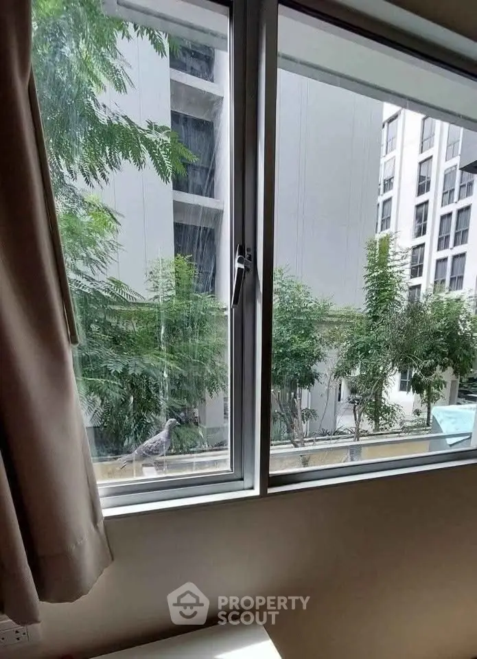Bright window view showcasing modern building and lush greenery, ideal for urban living.