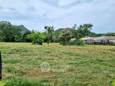 image_rental-29442035