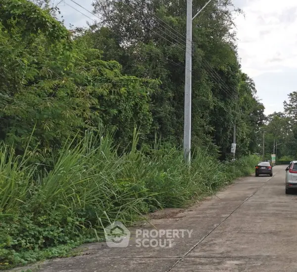 image_rental-28218775