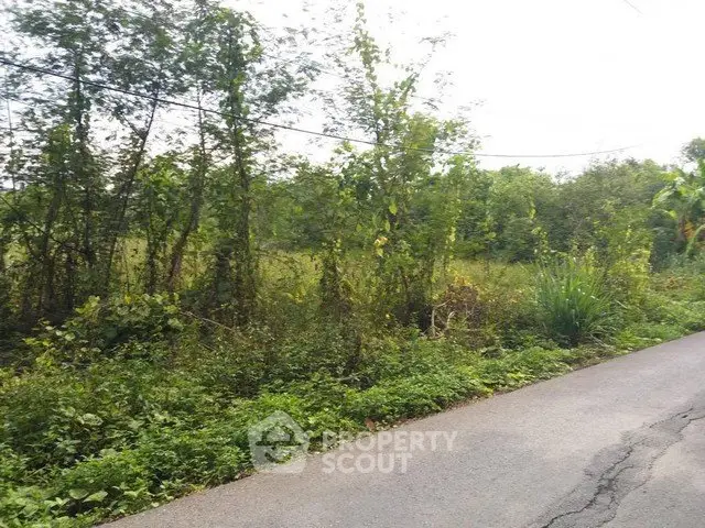 Scenic plot of land with lush greenery and road access, ideal for development.