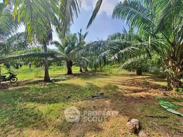 image_rental-17151687