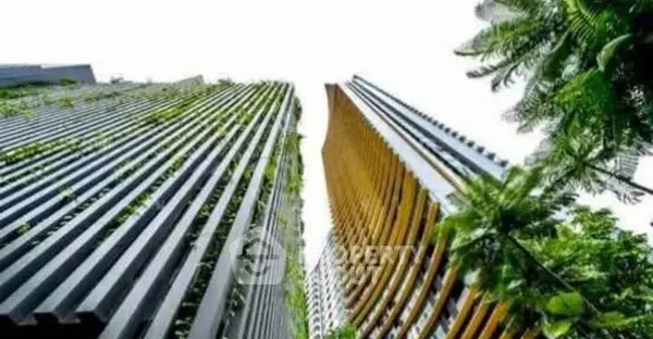 image_rental-30166537