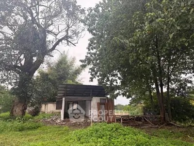 image_rental-27629532