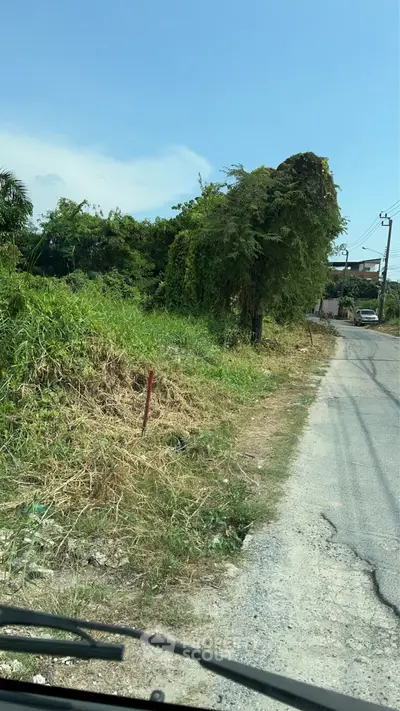 Vacant land plot with lush greenery and road access, ideal for development.