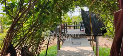 Charming outdoor wooden deck surrounded by lush greenery, perfect for relaxation and nature lovers.