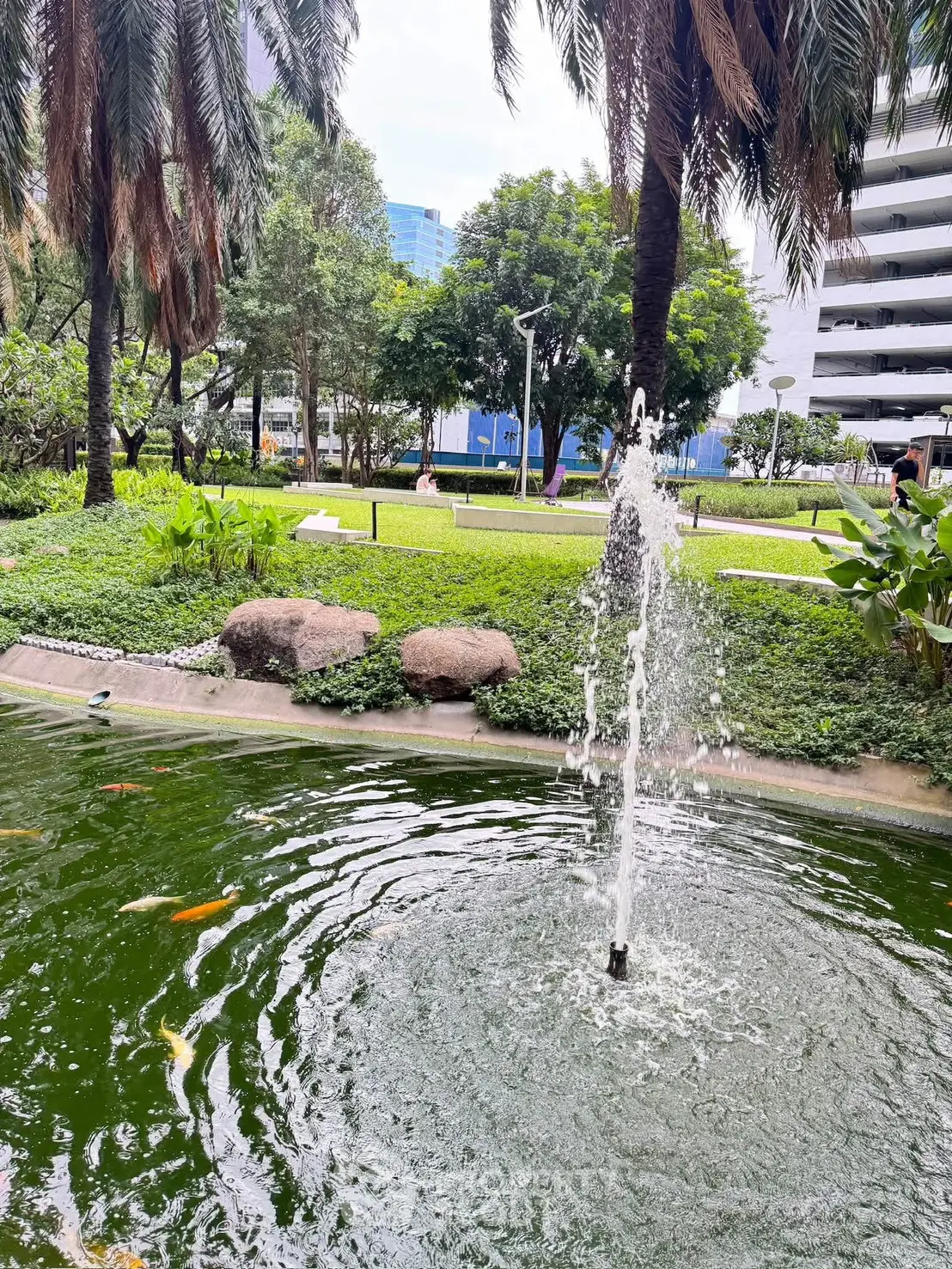 Serene garden view with fountain and lush greenery in urban setting