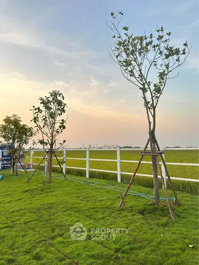 Serene garden view with lush green grass and young trees under a picturesque sky.