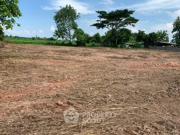 Expansive plot of land with lush greenery, perfect for development or agriculture.