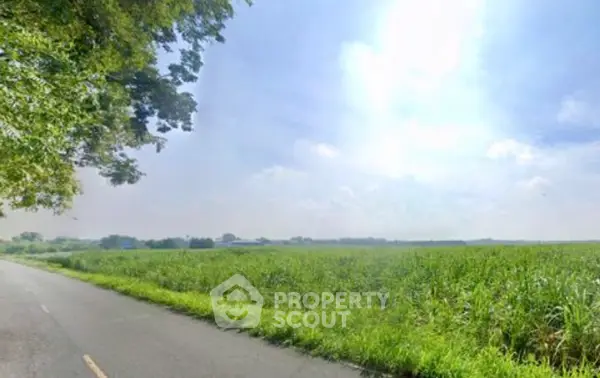 image_rental-27263961