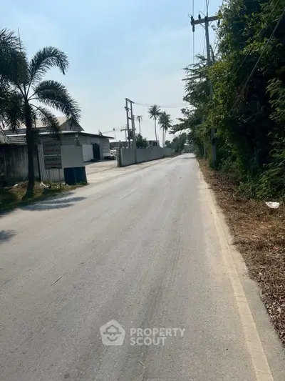 Quiet suburban street with lush greenery and palm trees, ideal for peaceful living.