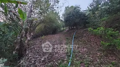image_rental-16961311
