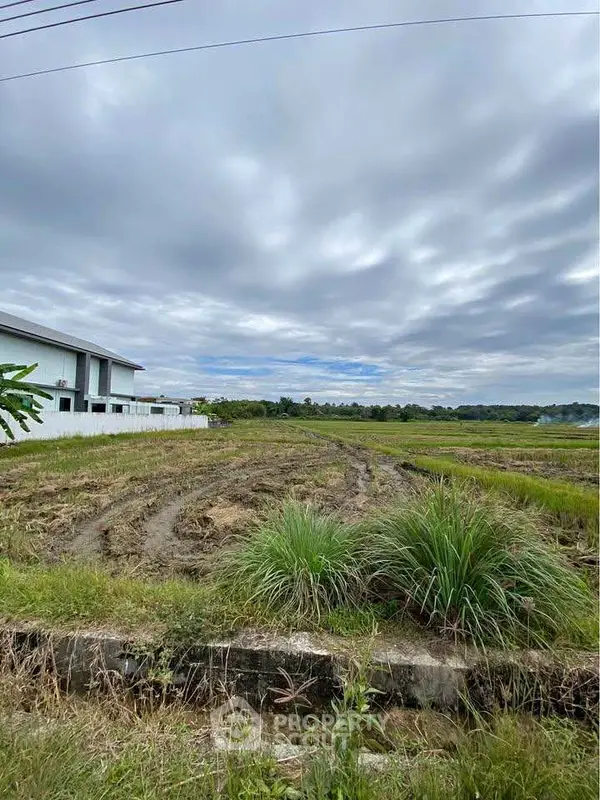 image_rental-27632297