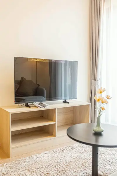 Modern living room with sleek TV setup and elegant decor