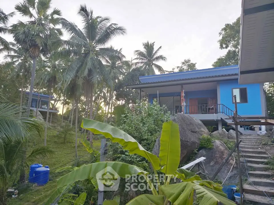 Tropical hillside home with vibrant blue exterior and lush palm surroundings, offering serene natural views.