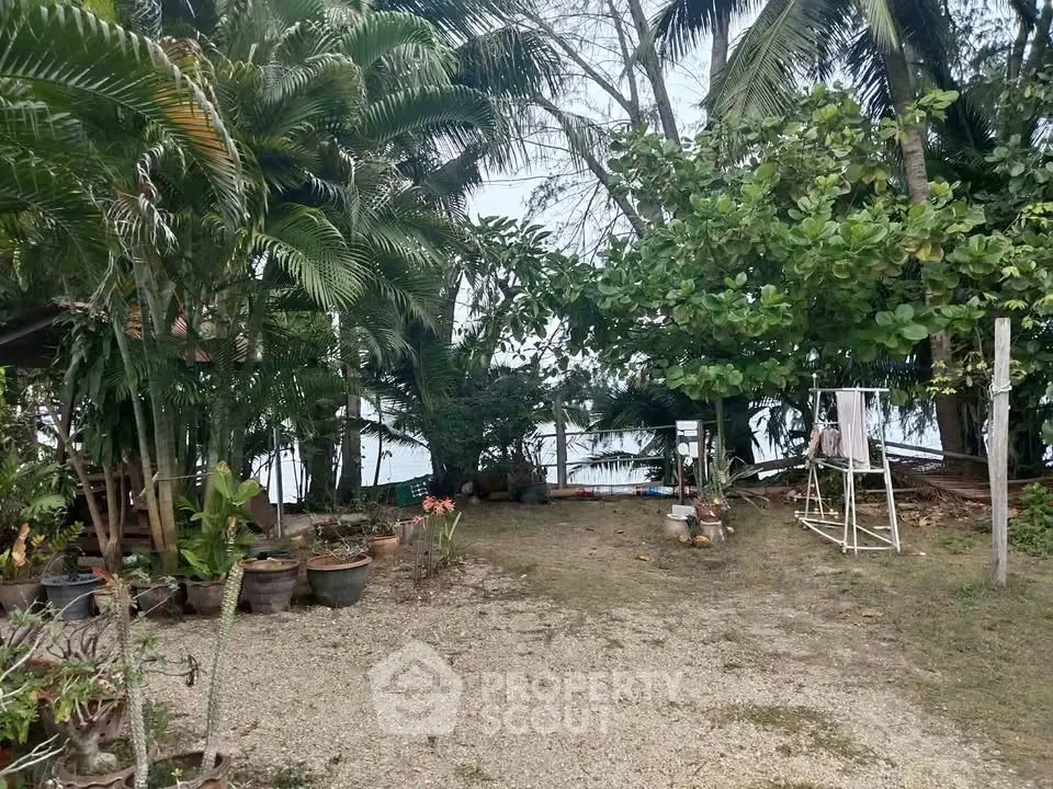 Tropical garden with lush greenery and ocean view, perfect for serene outdoor living.