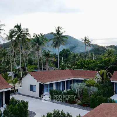 image_rental-27056297