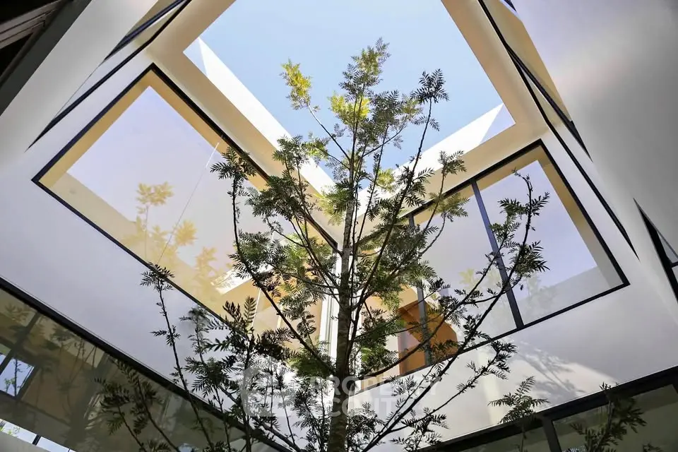 Modern architectural design with skylight and indoor tree in atrium.