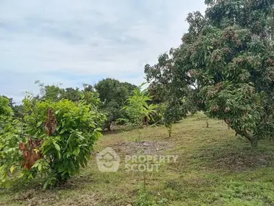 Lush green garden with fruit-bearing trees under a clear sky, perfect for serene outdoor living.