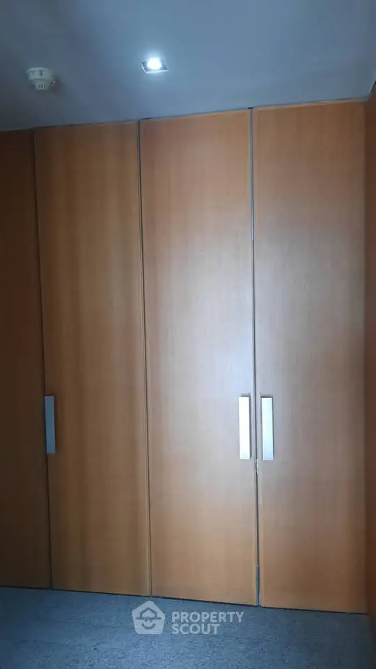 Spacious wooden storage closet with sleek handles in modern interior design.