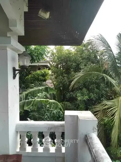 Charming balcony view with lush greenery and tropical ambiance, perfect for relaxation and nature lovers.