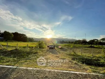 image_rental-30462398