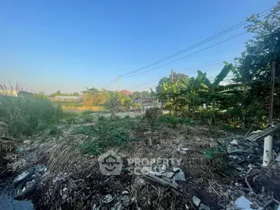 Vacant land with lush greenery and clear blue sky, ideal for development opportunities.
