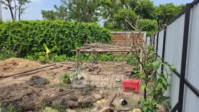 Spacious garden area with lush greenery and potential for landscaping.