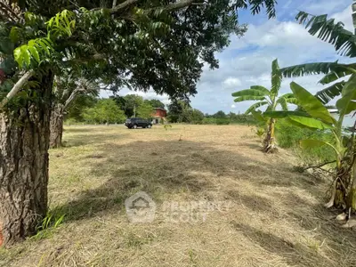 Spacious land plot with lush greenery and potential for development.