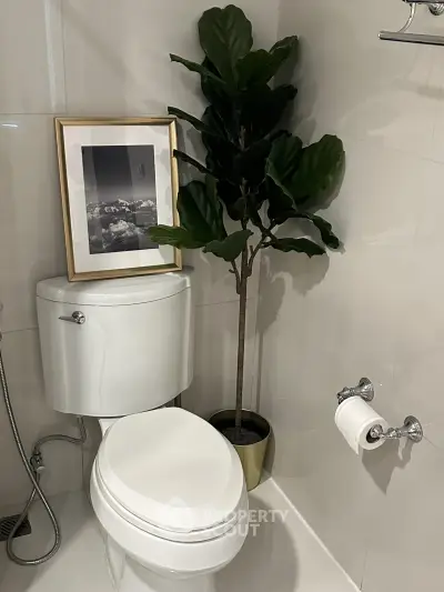 Stylish bathroom with modern toilet and decorative plant