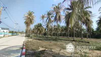 Scenic land plot with lush palm trees ideal for tropical development