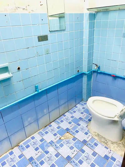Vintage blue-tiled bathroom with toilet and mirror, ideal for renovation projects.