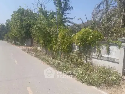 Charming suburban street with lush greenery and boundary wall, perfect for peaceful living.