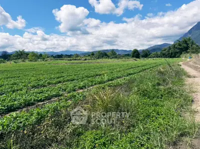 Expansive agricultural land with lush greenery and scenic mountain views under a vibrant blue sky.