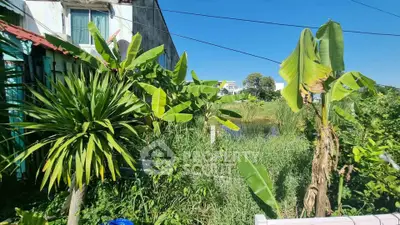 Lush garden view with tropical plants and clear blue sky, perfect for nature lovers seeking tranquility.