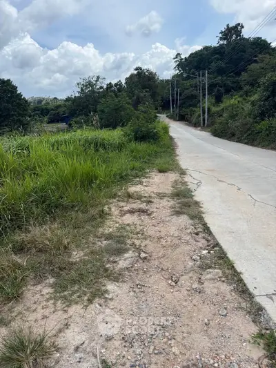 Scenic rural road surrounded by lush greenery and open land, perfect for development.
